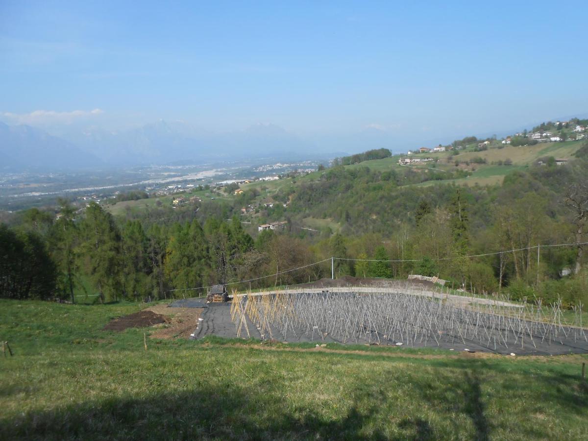 Agriturismo La Casa Nei Boschi Colderu Eksteriør billede