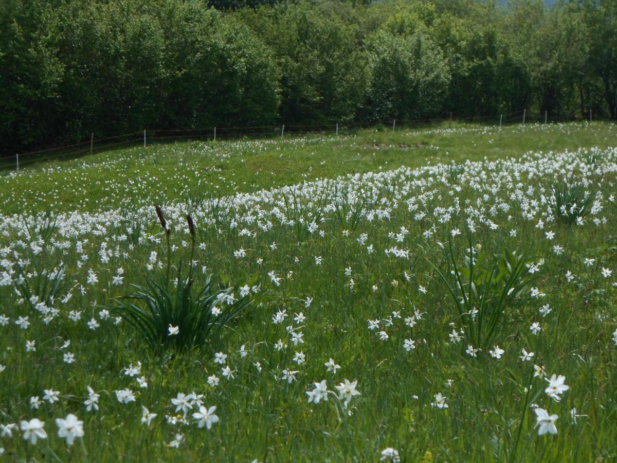 Agriturismo La Casa Nei Boschi Colderu Eksteriør billede
