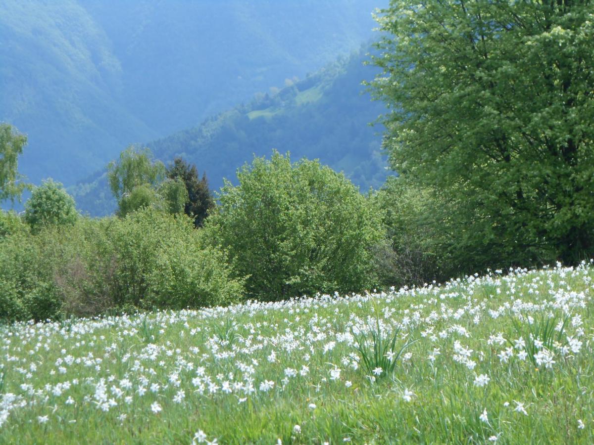 Agriturismo La Casa Nei Boschi Colderu Eksteriør billede