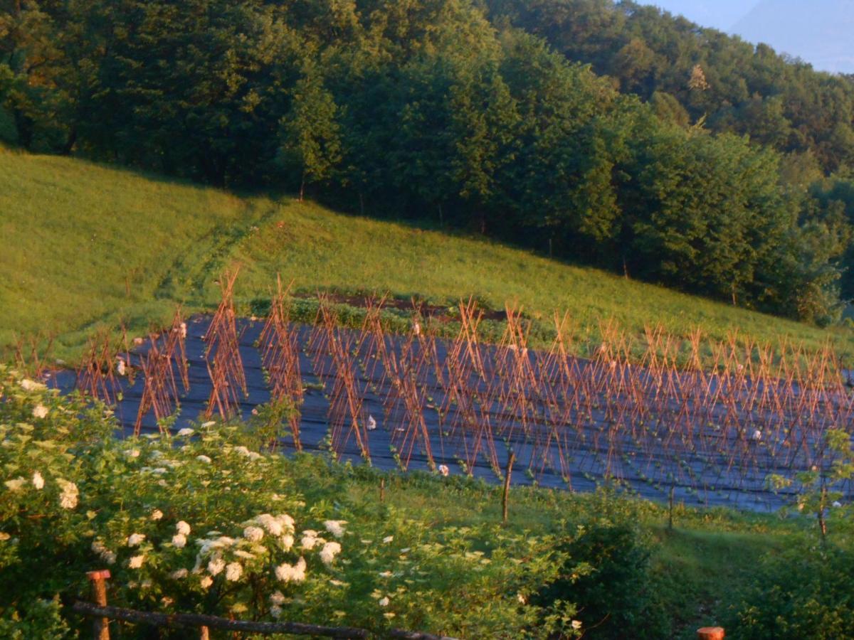 Agriturismo La Casa Nei Boschi Colderu Eksteriør billede