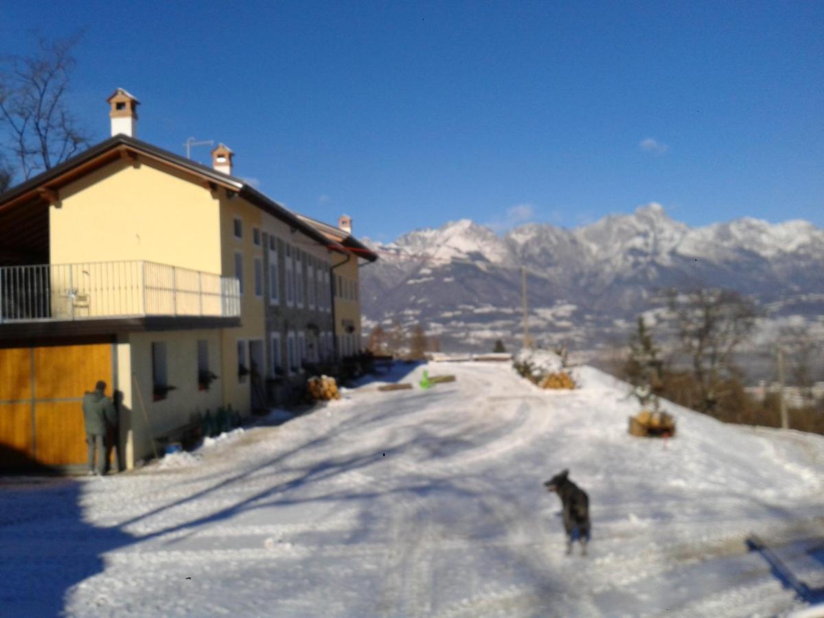 Agriturismo La Casa Nei Boschi Colderu Eksteriør billede
